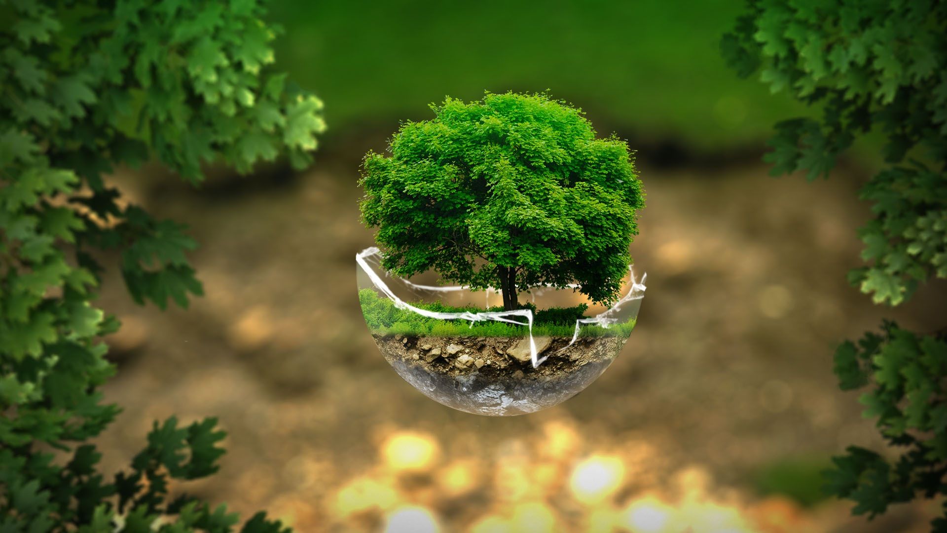 New regulations on appraisal fee of environmental impact assessment report