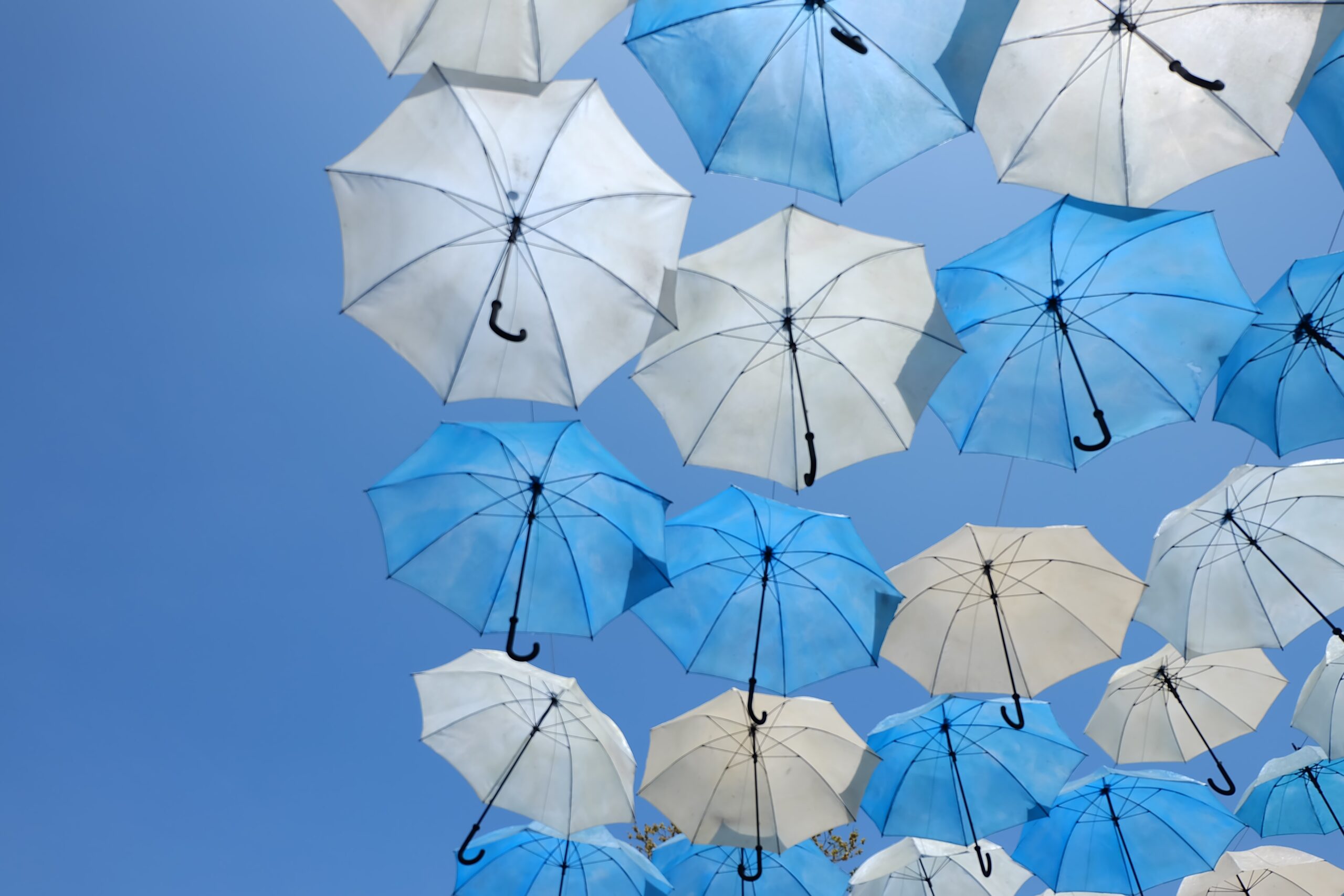 Some key aspects of the Draft Law on Social Insurance