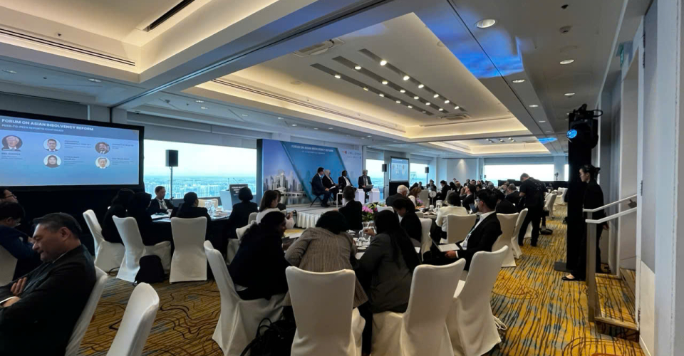 z5892288010914_05abae032ba0cfd45342f142c89a184f