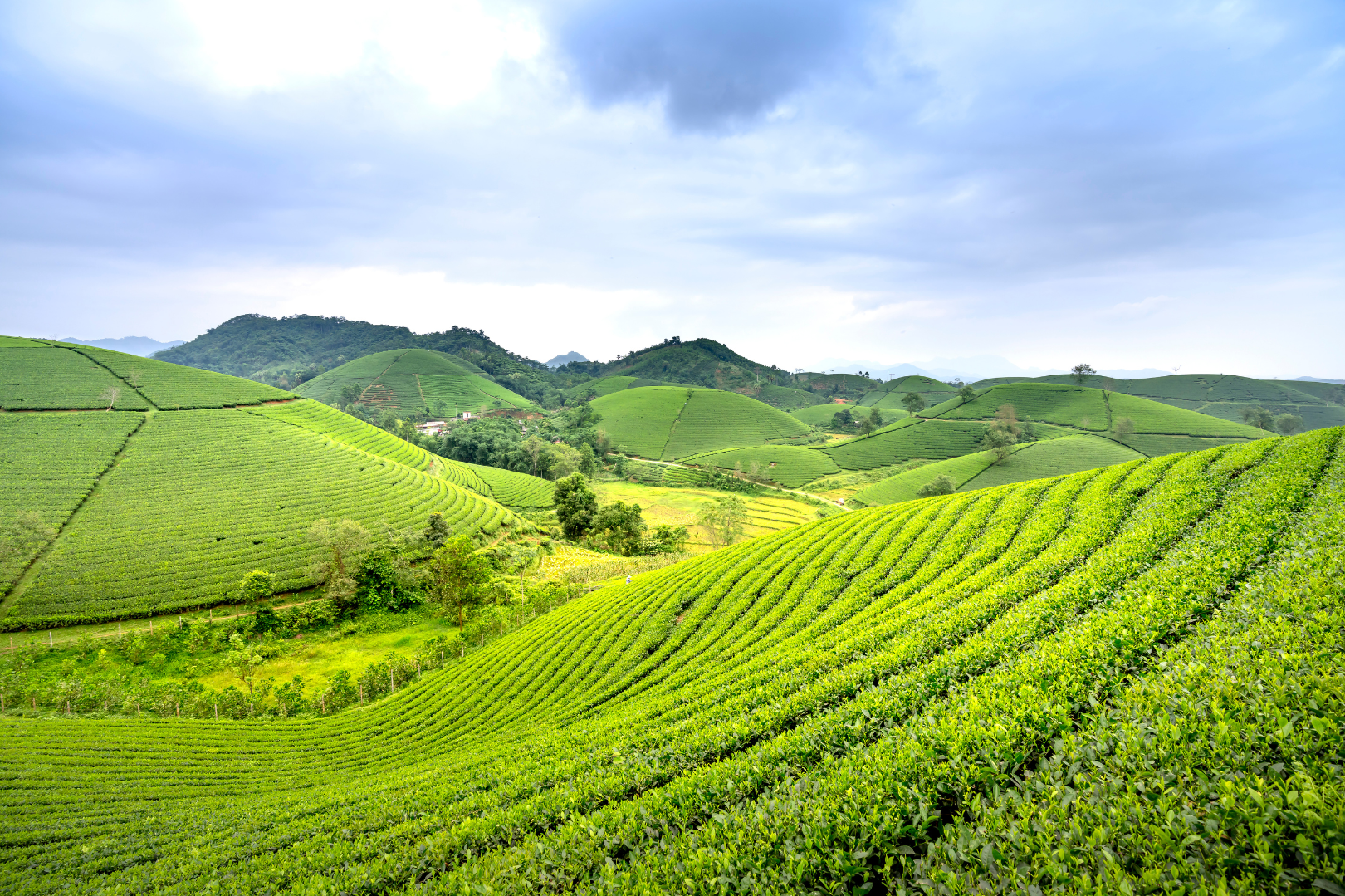 New regulations on sanctions for administrative violations in the land sector