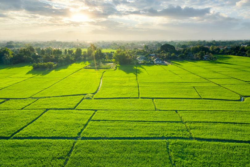 Significant aspects of the policy on reduction of land lease fee reduction for 2024